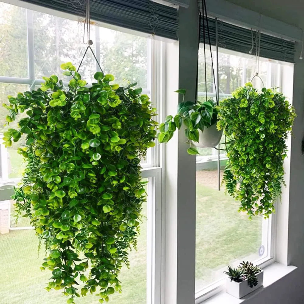 HANGING PLANTS