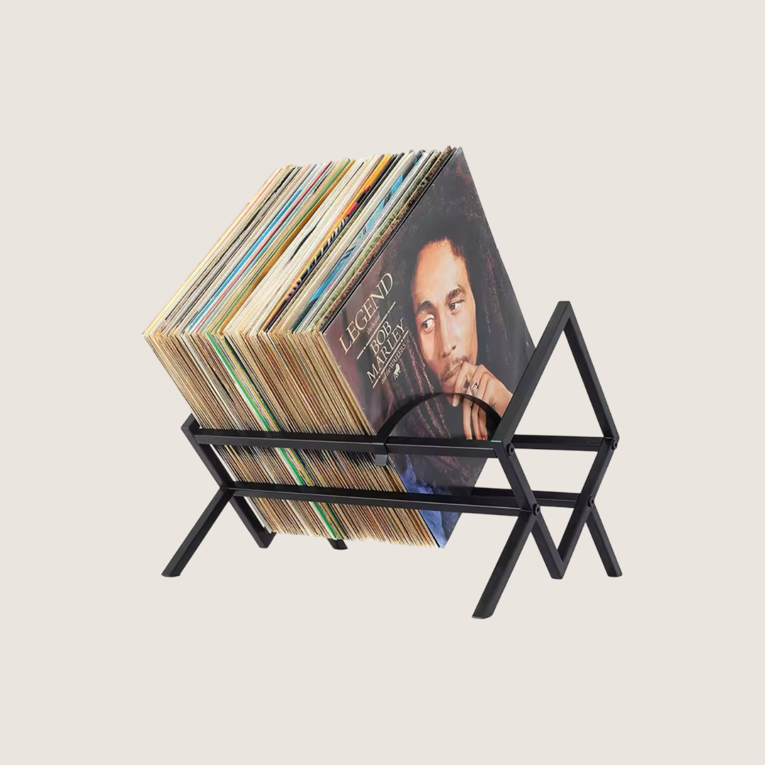 VINYL RECORD ALBUM STORAGE