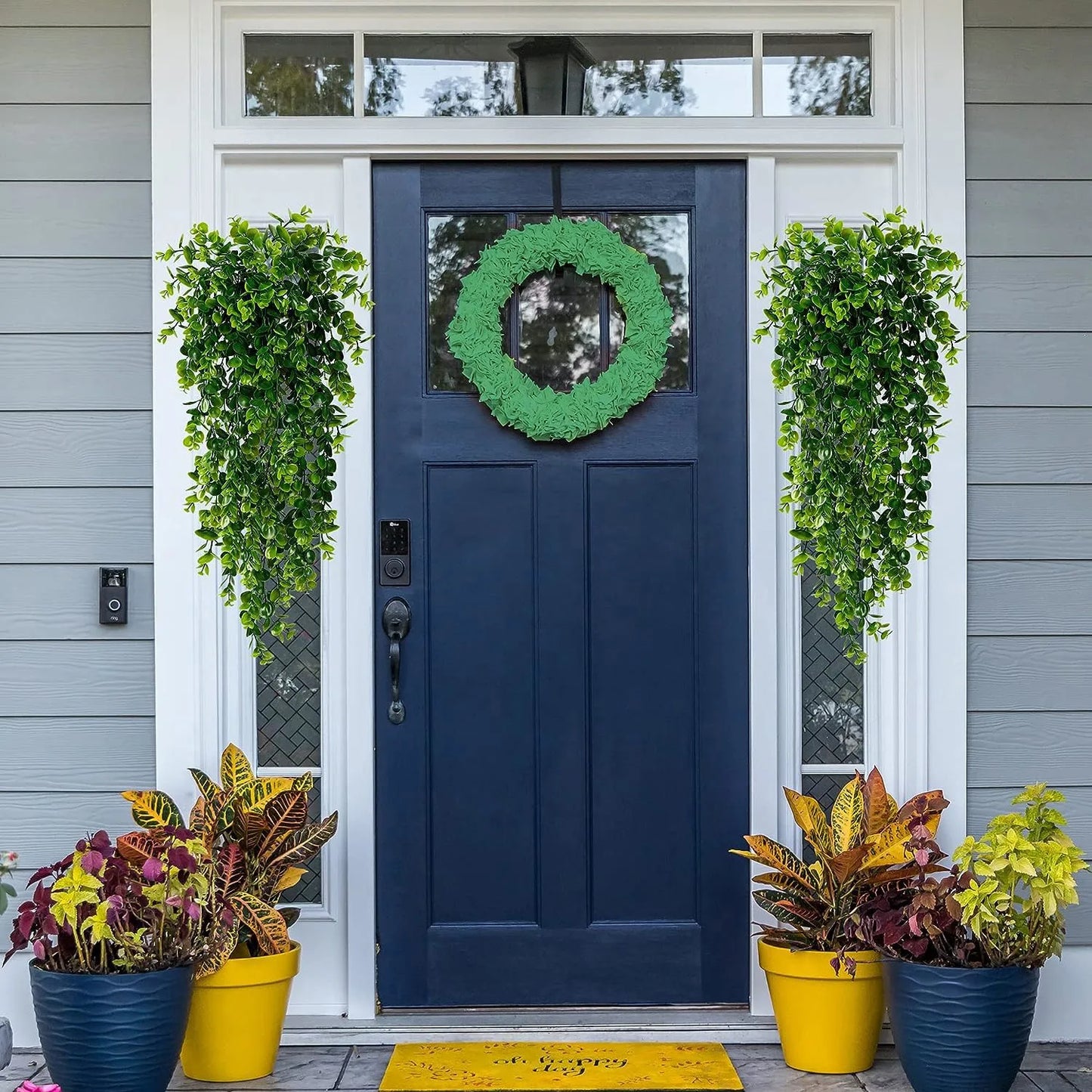 HANGING PLANTS