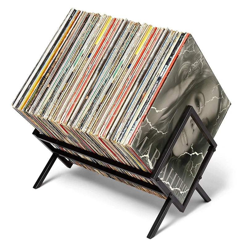 VINYL RECORD ALBUM STORAGE